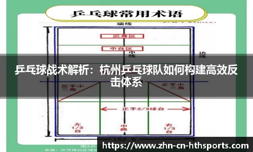 乒乓球战术解析:杭州乒乓球队如何构建高效反击体系